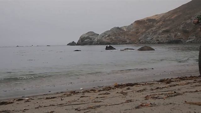 Catalina Island Salsa Mukluk.mov