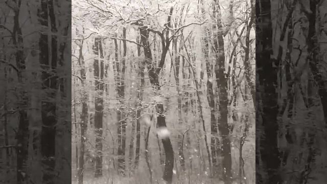 70d287fd42434386fb048bfc27984944