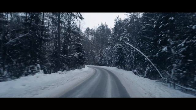 Заколдованный дикий лес