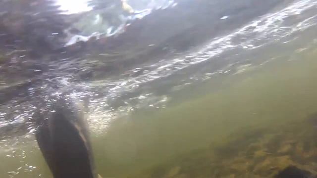 Fc47e59e5d58601b5da691f5b9a15713