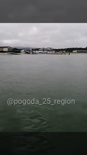 «Офигеть, какие огромные»: что сняли на видео в море рядом с Находкой