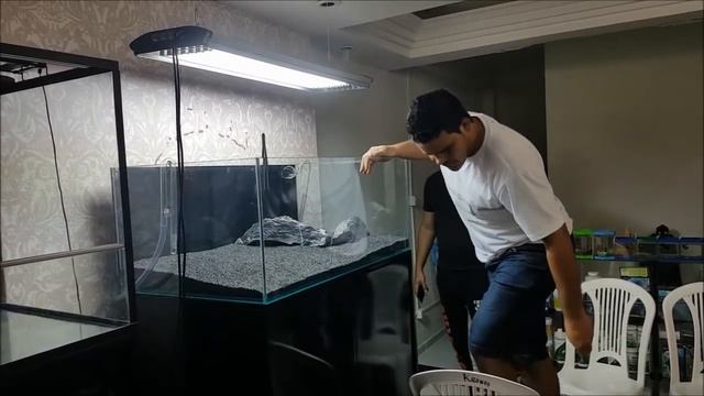 Montagem De Aquário Plantado Para Iniciantes 1ª Parte Hardscape