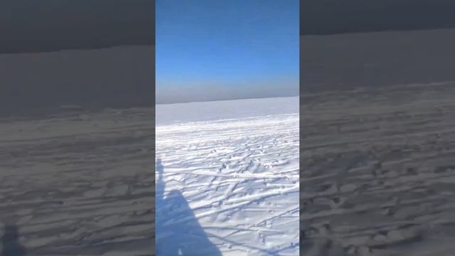 Мудрость машеров #аляскинскиймаламут #хаски #ездовыесобаки #ездовойспорт #собакадругчеловека