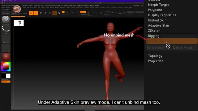 ZB_18.30 | If You Don't See Your Layers In Your Rigged Model, Check If You Are In Preview Mode.