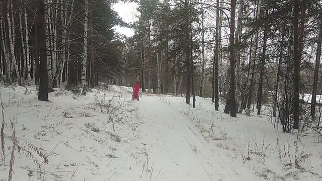 Поезд маламутов