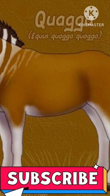 Why Was The Quagga Named QUAGGA || New Facts Of Quagga.