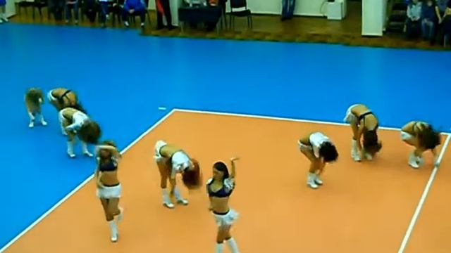 барсуки.AVI