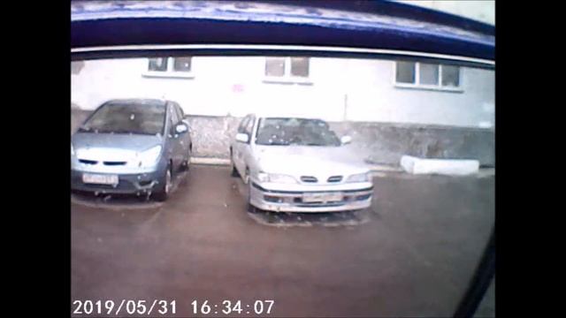реакция людей на газген, ГИБДД