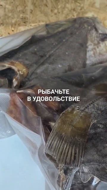 5065e6301d2255bcaa137725f7f66dac