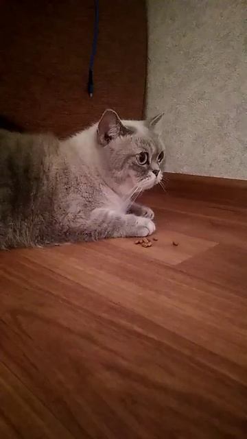 2 ноября 2021 г.