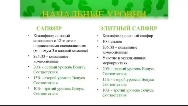 ТРЕНИНГ  РАНГ САПФИР ЗА 30 ДНЕЙ В JEUNESSE GLOBAL