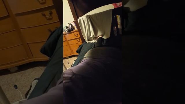 6525f32dfa66a8094239c57ff33c9d52