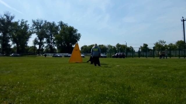 Лабо аус Виквельт / керунг // Липецк моно 11 июня 2016