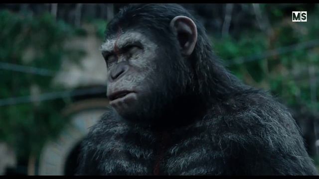 7868af562936345cf8ccfcda715cf14c