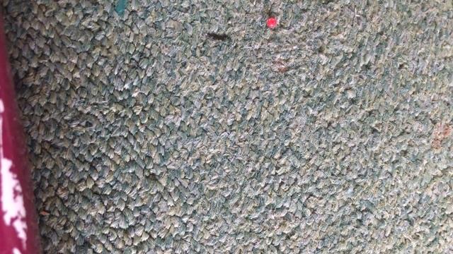 Кольцо из бисера