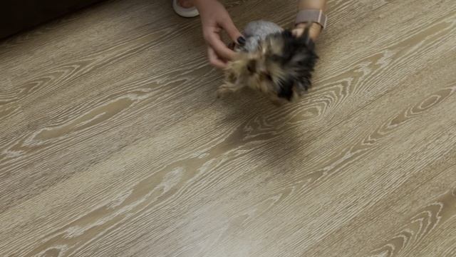 Пол года, лето 24 - зима 2025