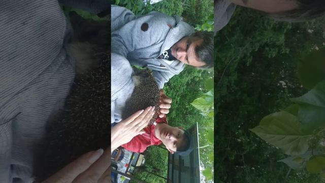 Ёжик в гости к нам пришёл