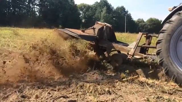 Трактор Т-40М уборка картофеля