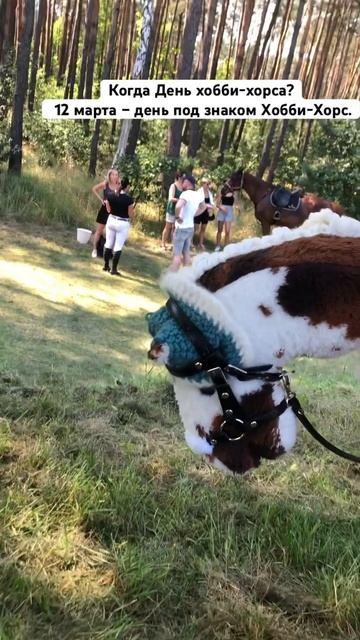 Когда день хобби хорса? #хоббихорс #хоббихорсинг #хоббихорсеры А у вас есть хобби хорс?
