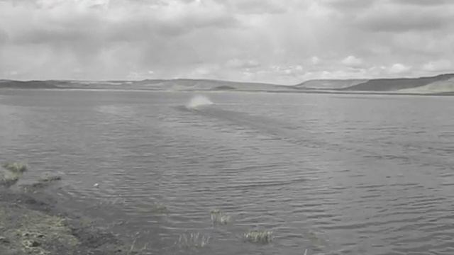 RC Boats ZX 900 Field