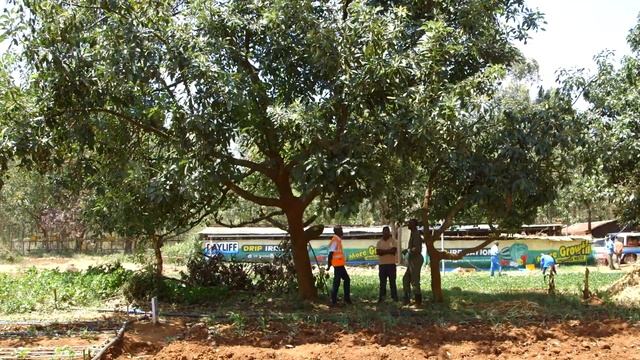 Solar Pump Installation In Partnership With Shamba Shape Up