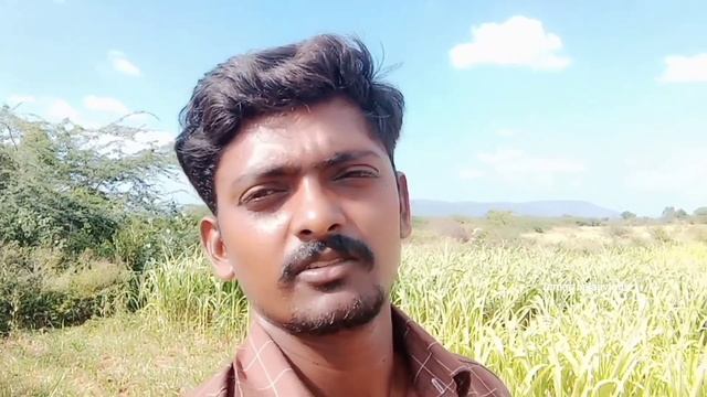 HF Cows || Mini Dairy Form ||#IsmartBalajiVlogs ||#DailyBlogs