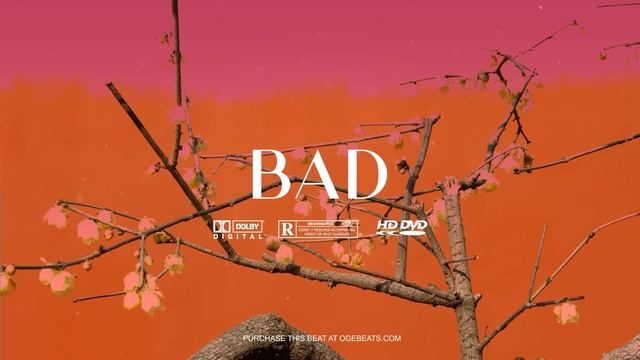 Dancehall Instrumental | Afrobeat Type Beat 