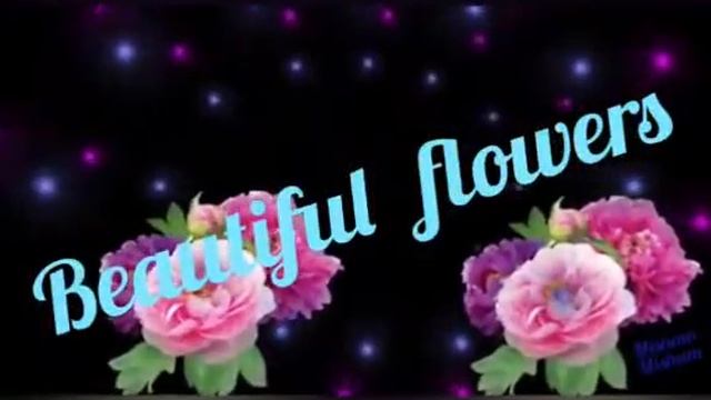 катя махмудова иер я вун