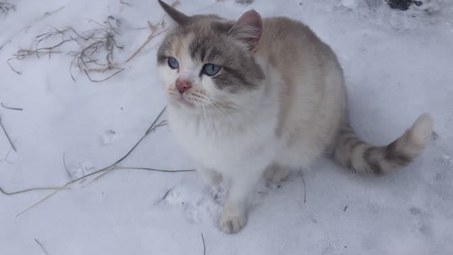 31322c2d0e304185d519b041d6f1d9e4