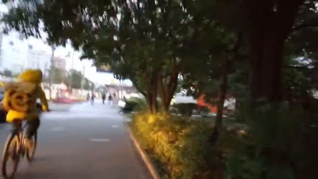 Москва 358 Свободный проспект от Союзного до Зелёного проспекта лето вечер