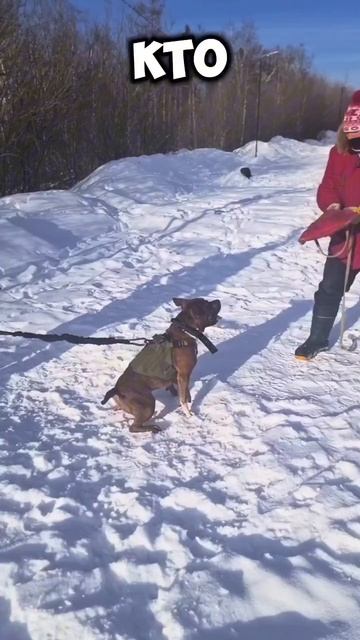 974a1f2d7855485464a0e3e0586f7334