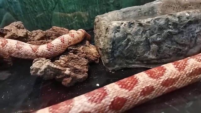 77cc67e739678cea1cbeb7ebf077c9ce