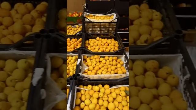 фрукты овощи с доставкой по Республики  марий эл