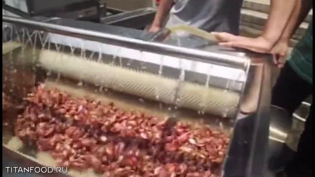 Мойка и очистка продуктов установкой Titan TY-700A