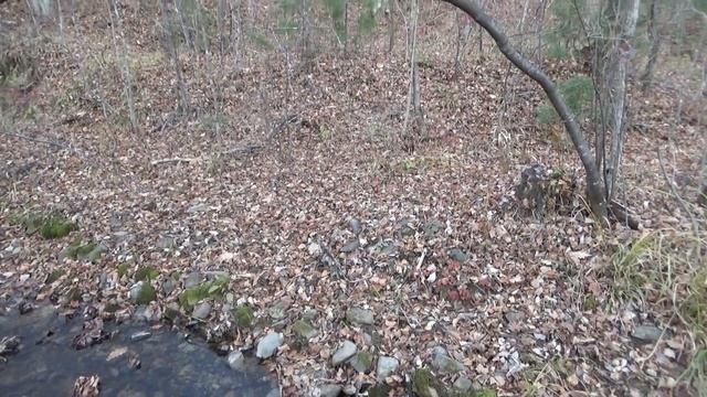 Вечер на краю тайги, октябрь 2021 г.