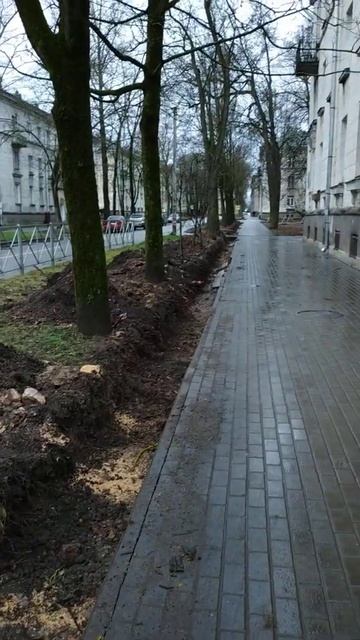 Гатчина, ул.Гагарина 12ноября 2021