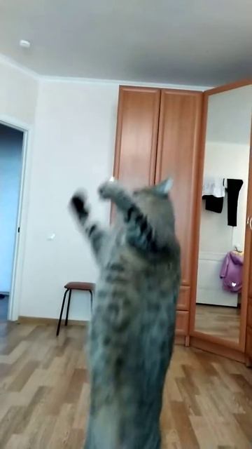 06e0ab500f0840c61d4a726b7567fb76