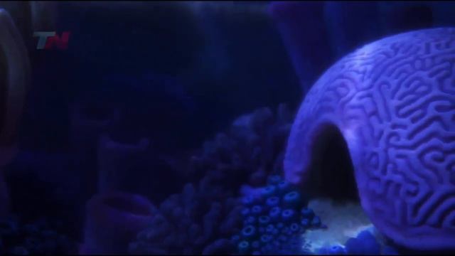 69f33fc729de6cfc602435f42aabcad4