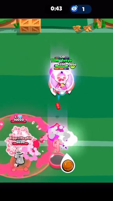 D20866647c606c859a1c88d4b496b650