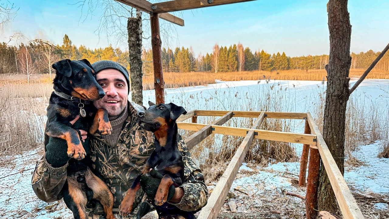 Строю двух этажный дом на дереве. Сделал первый этаж