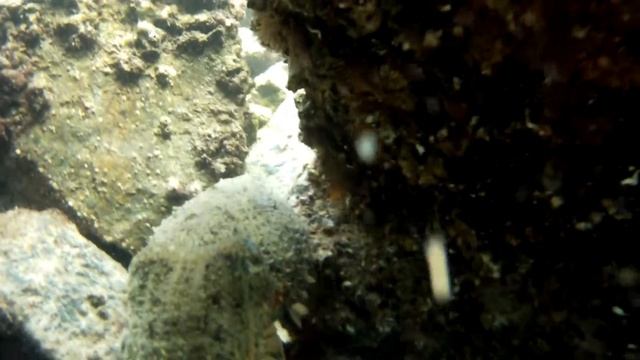 1aef64d1a6c6b8b07a4d1df14b1a0f4b