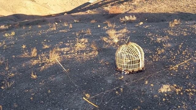 A6f4d30f1ab1f733a0c73ca1e8c3d744