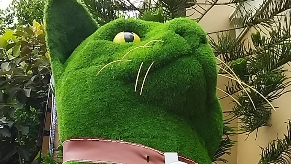 6abaf9590106a282c35120c4539f0989