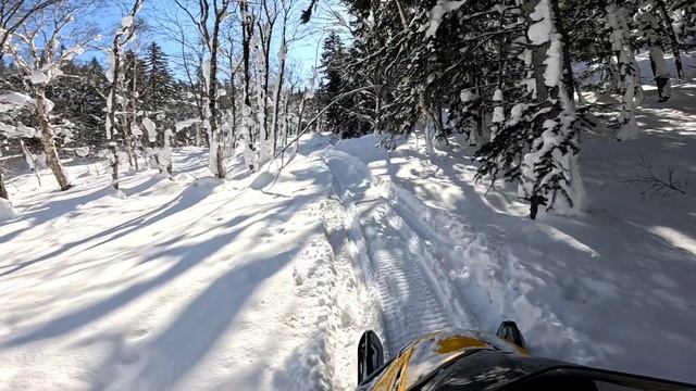 01.03.2025 г. Часть 1