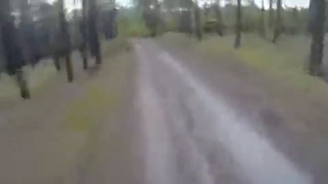 Заметил медведя и уехал