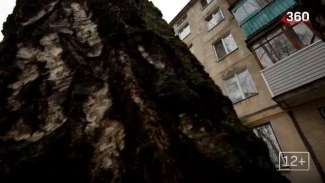 Рекламные блоки и анонсы (360, 15.09.2021)