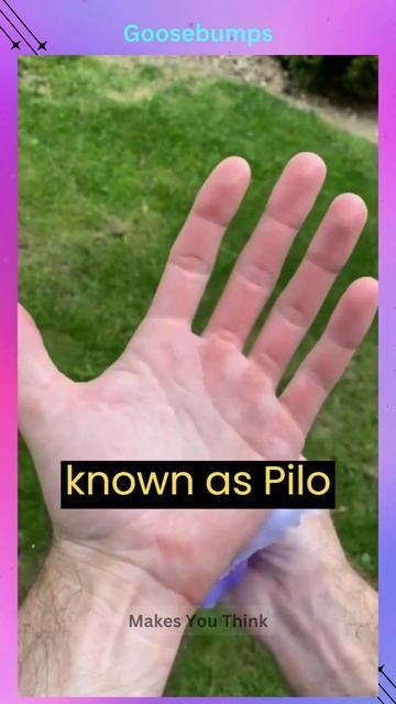 How Goosebumps Happn In Our Body? #health #facts #shorts #body #unknownfacts #youtubeshorts