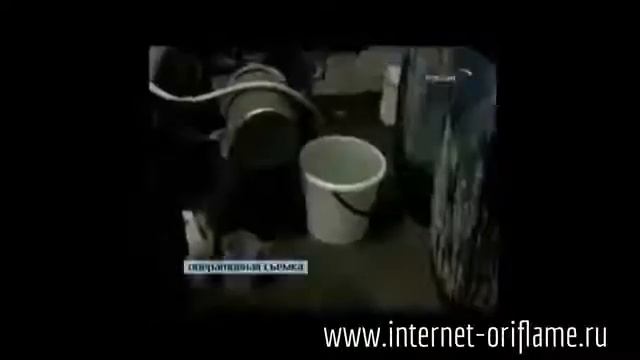 Подделки косметики и парфюмерии