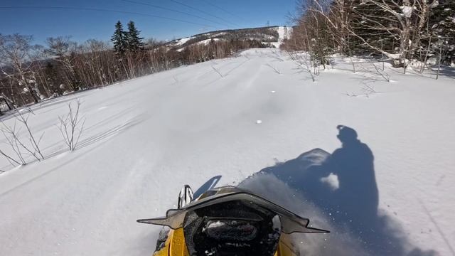 01.03.2025 г. Часть 2