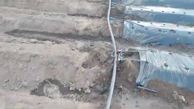 5264055a6d3aec5f57cdeec0728a23b4